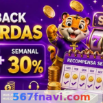 567f - Termos de Uso: Regras Completas Article Image 1